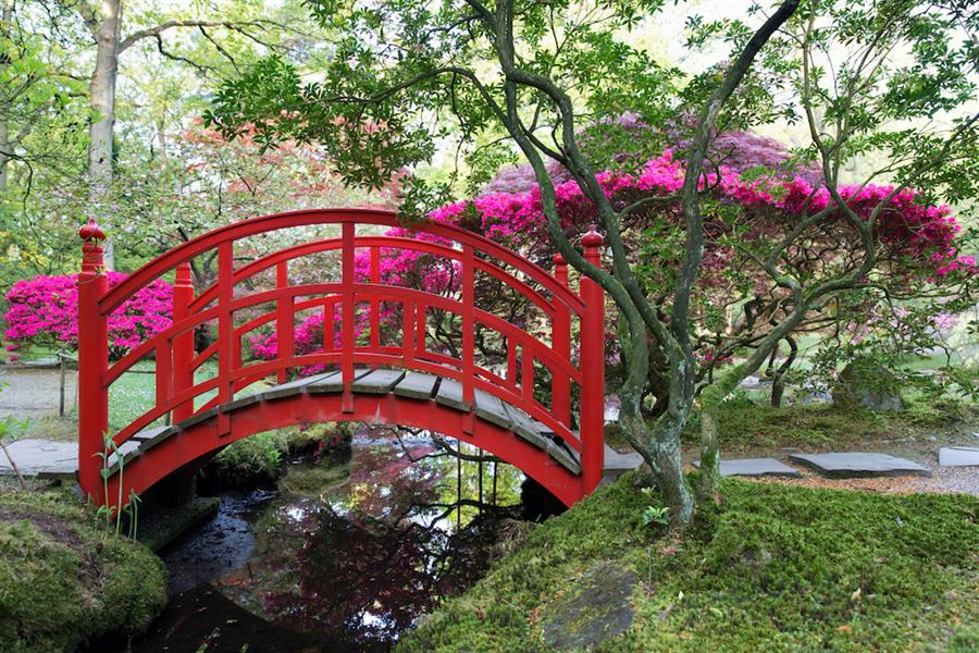 Bericht Negen leuke weetjes over de Japanse Tuin (en een filmpje!) bekijken